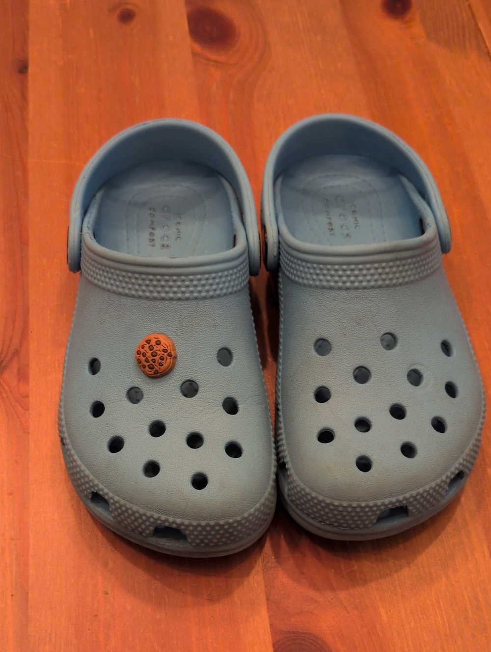CROCS Kids Lt Blue Classic Clog Sandals Includes 1 Cookie Jibbit